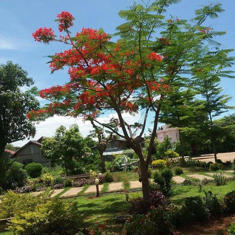 Xuanmai Garden Resort Pakse Esterno foto
