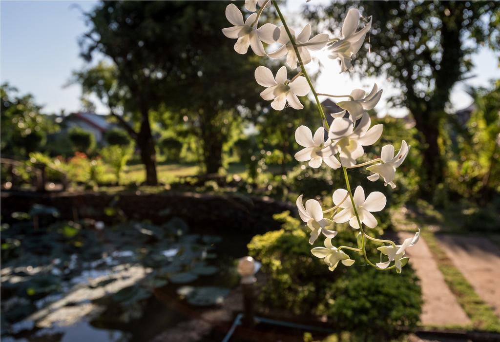 Xuanmai Garden Resort Pakse Esterno foto